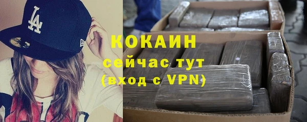 твердый Кодинск