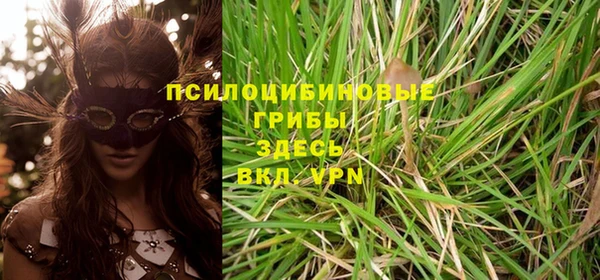 твердый Кодинск