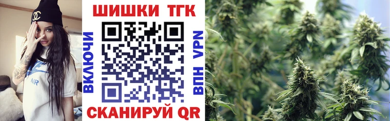 Конопля планчик Кондопога